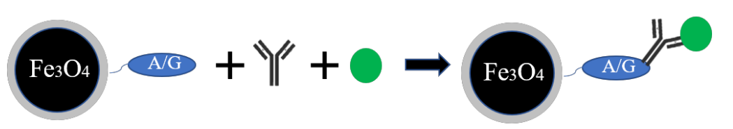 64817a44ab637.png image.png