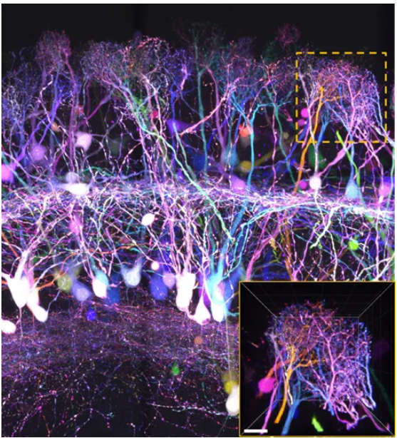 67ab0967af838.png image.png